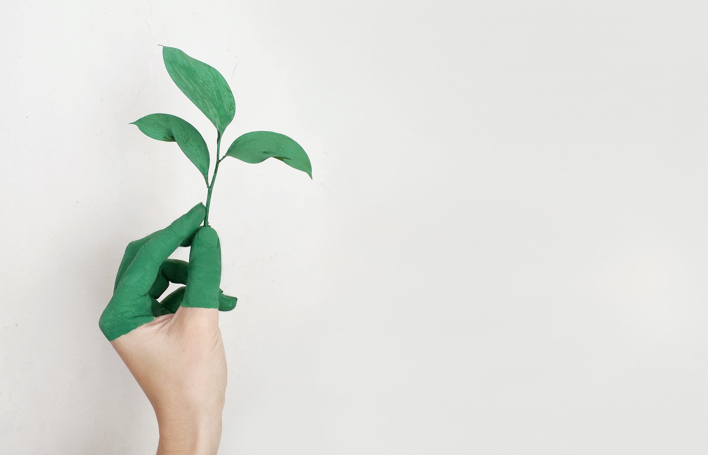 Greenwashing Explained