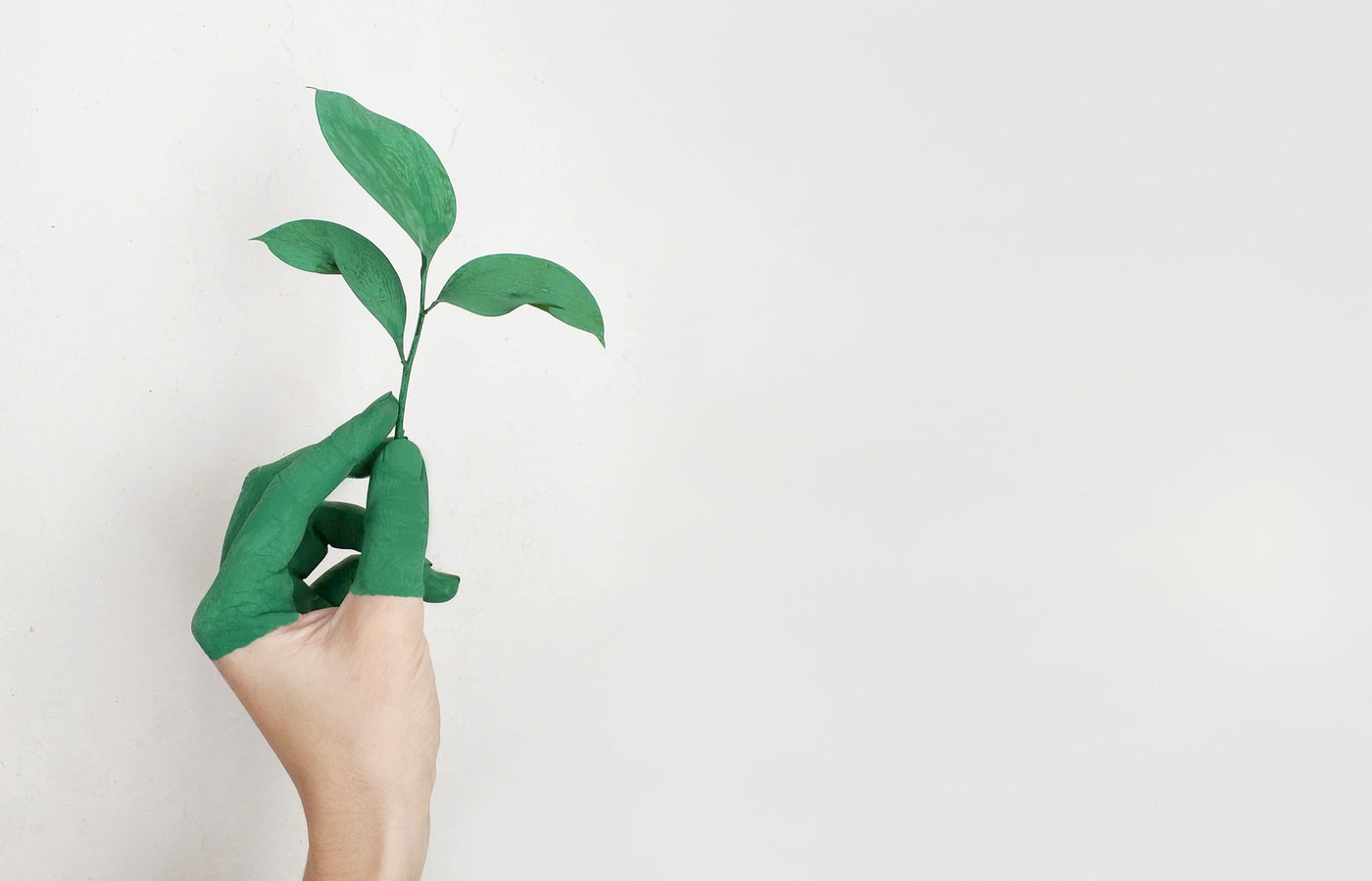 Greenwashing Explained