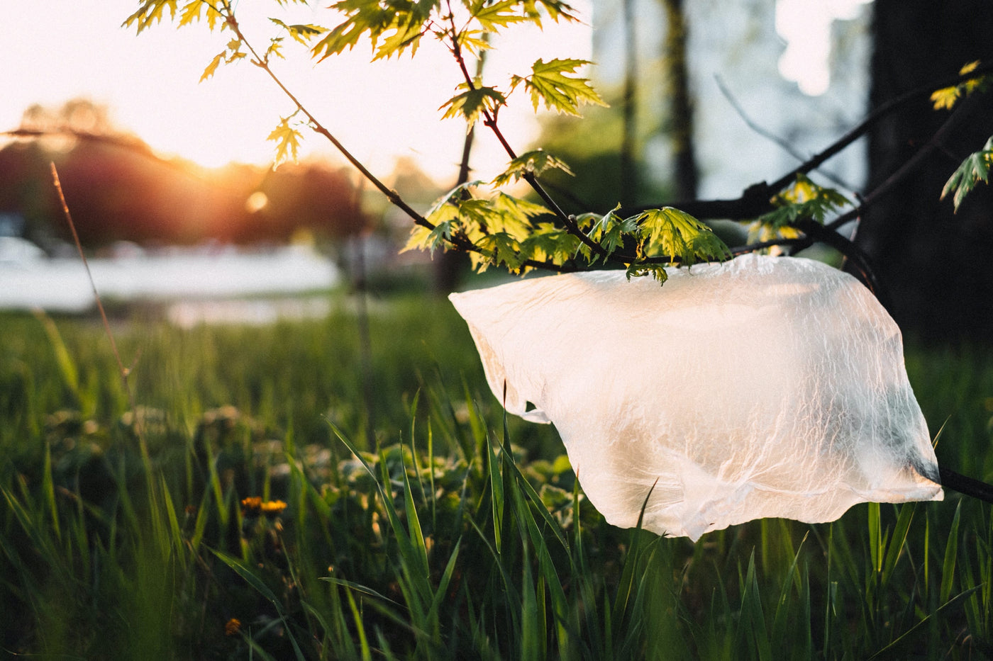 Why Recycling Isn't The Answer To The Global Plastic Problem
