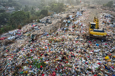 The Truth Behind Landfills
